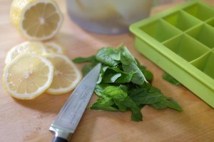 LemonAndMintBig