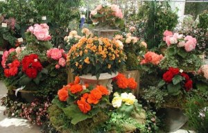 We can't all be Master Gardeners!  But we can learn better was to navigate our destinies.