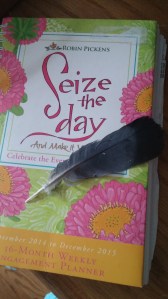 I have had some really awful moments in my struggle for sobriety these past 156 days - and Daddy always appears at just the right moment, in the form of a feather.